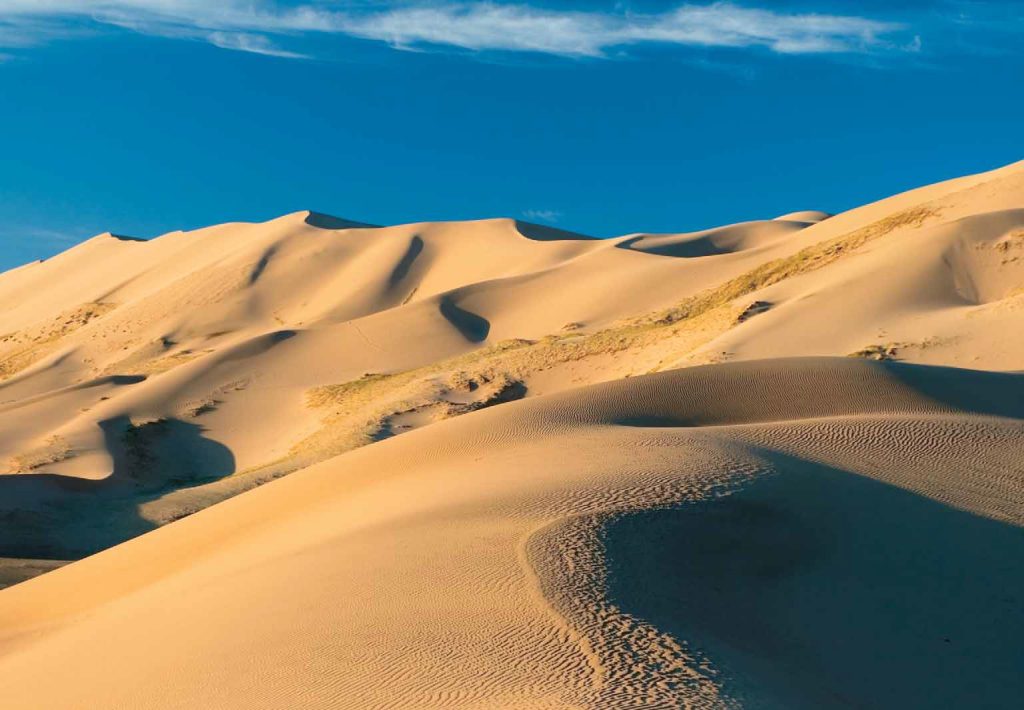 SFH_Glupov_Mongolia