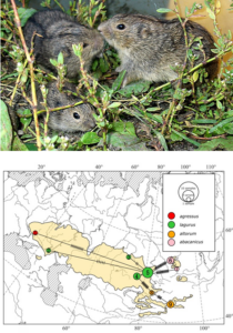 Снимок экрана 2026-02-13 183802