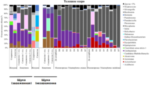 Screenshot from 2026-03-26 13-03-07